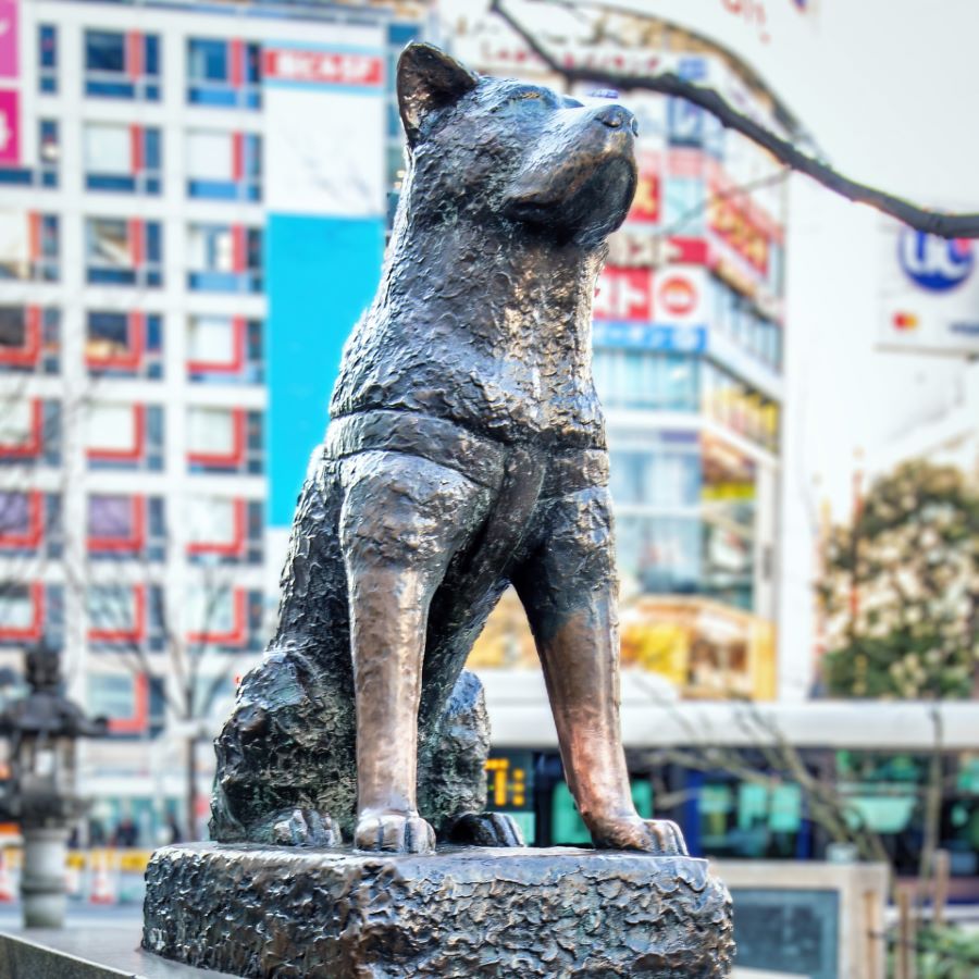 Hachiko Statue Shibuya