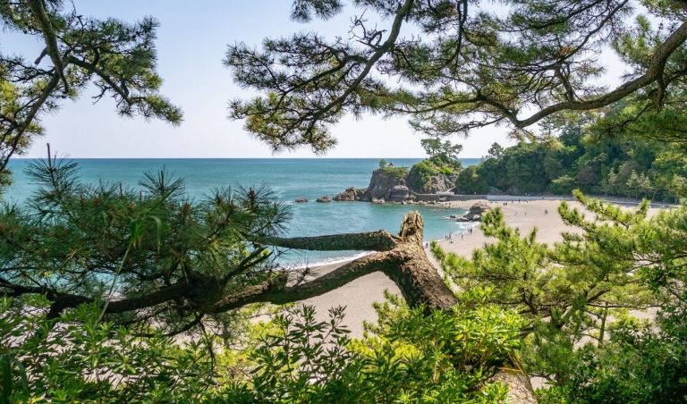 Kochi - Katsurahama beach View