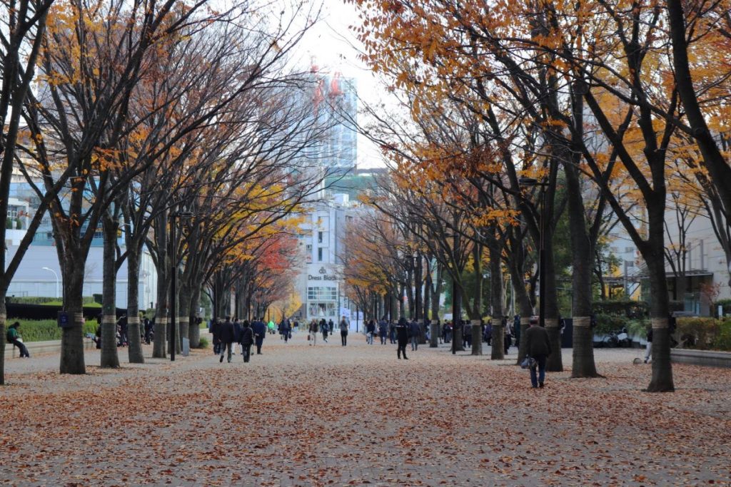 Yoyogi Park